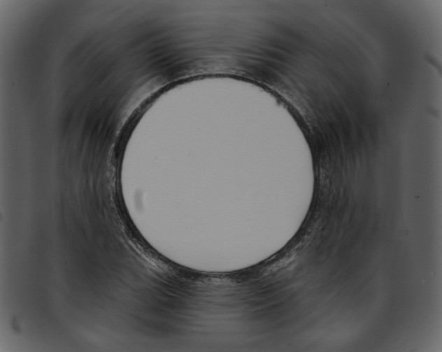 X0000097511119200803201609