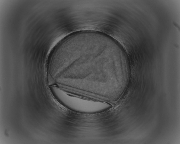 X0000097511120200803201609