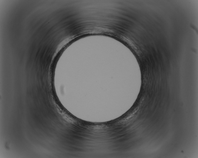 X0000097511122200803201609