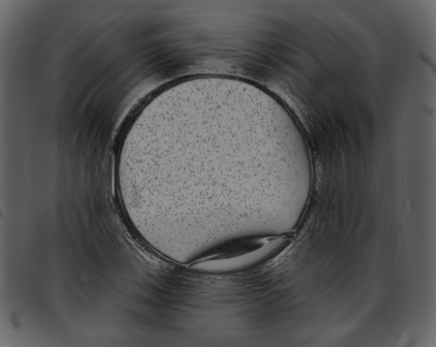 X0000097511123200803201609