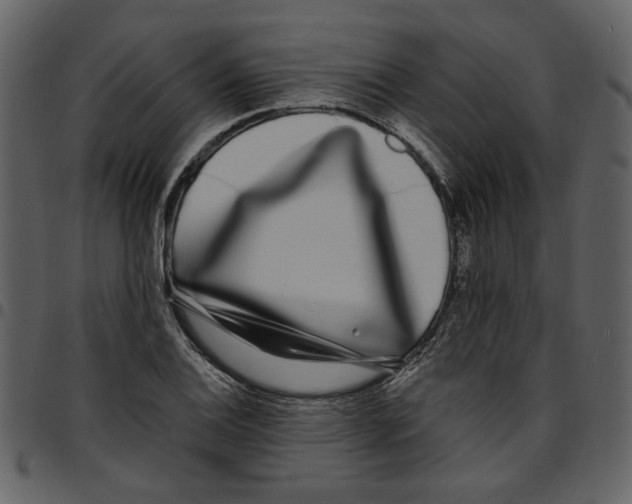 X0000097511124200803201609