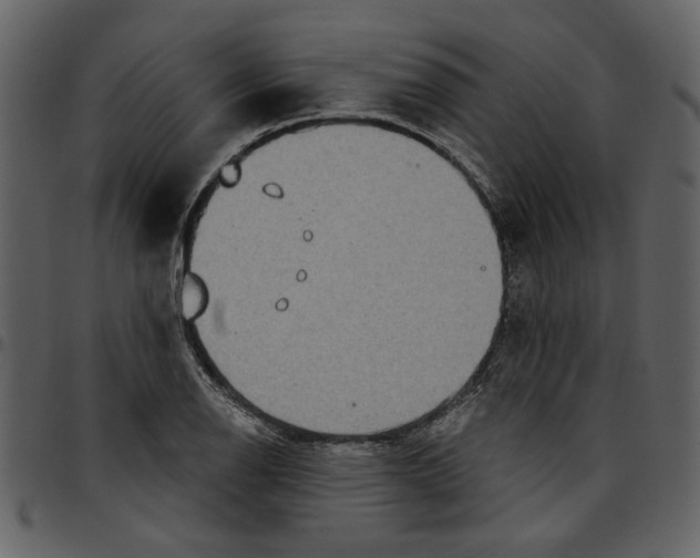 X0000097511126200803201609