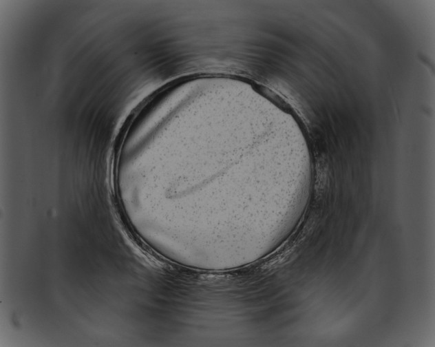 X0000097511128200803201609