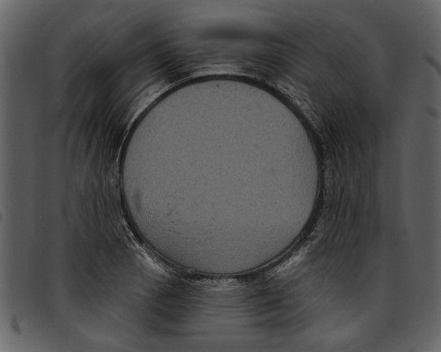 X0000097511129200803201609