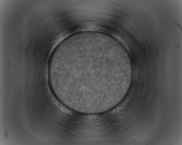 X0000097511130200803201609