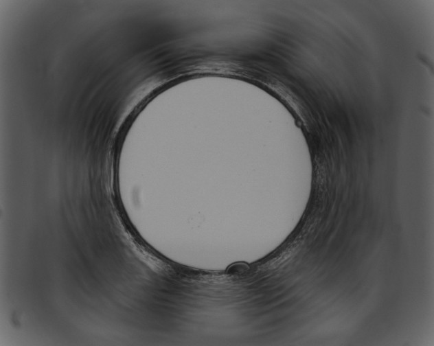 X0000097511131200803201609