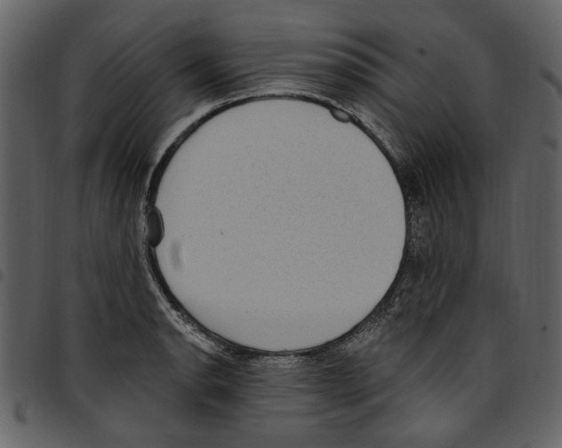 X0000097511134200803201609