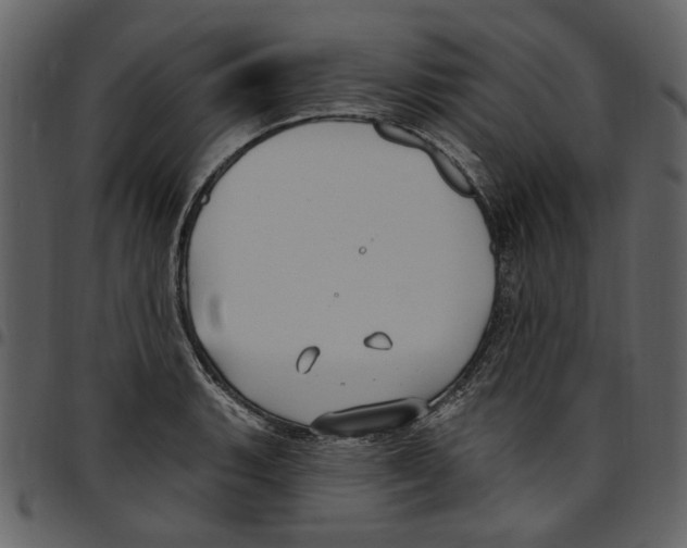 X0000097511135200803201609