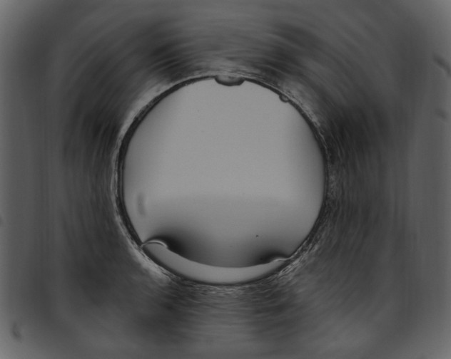 X0000097511136200803201609