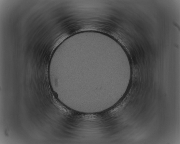 X0000097511137200803201609