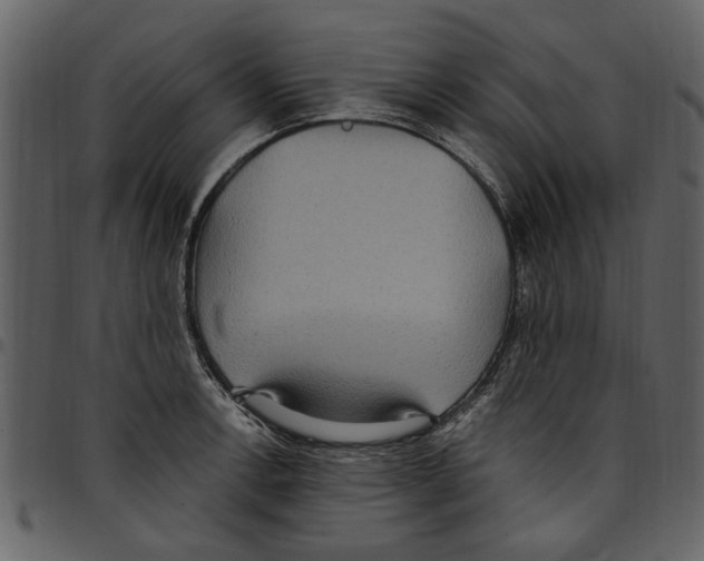 X0000097511138200803201609