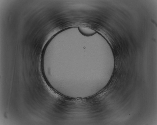 X0000097511139200803201609