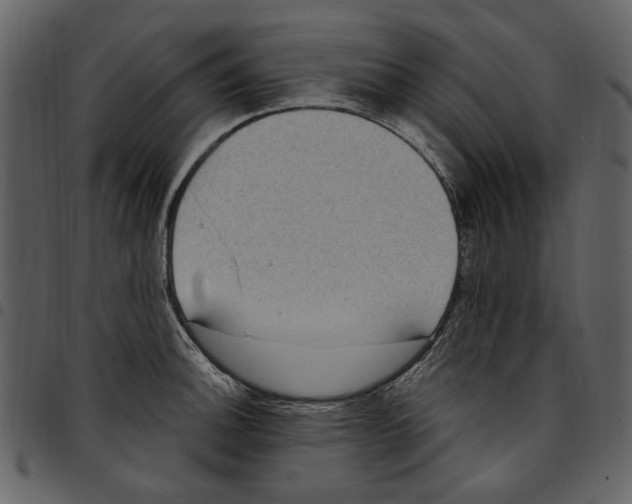 X0000097511140200803201610
