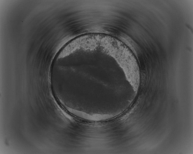 X0000097511141200803201610