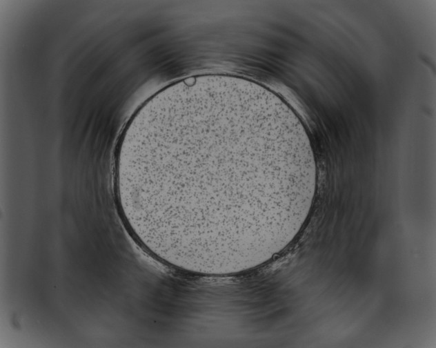 X0000097511143200803201610