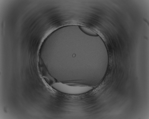 X0000097511144200803201610