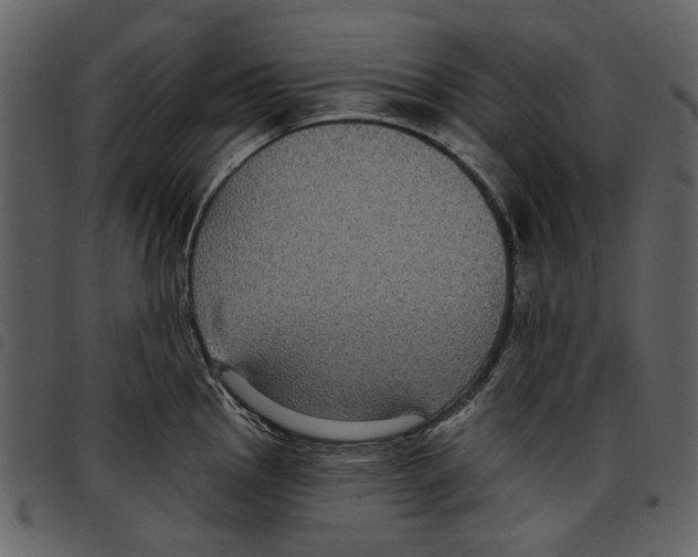 X0000097511145200803201610