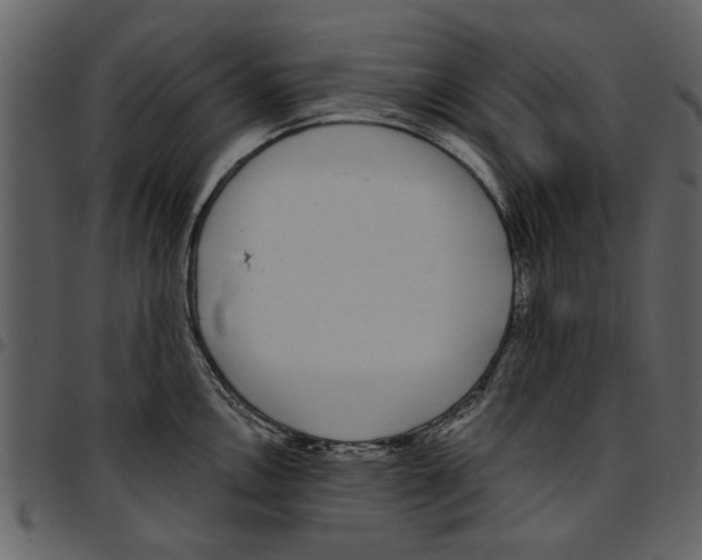 X0000097511146200803201610