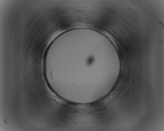 X0000097511147200803201610