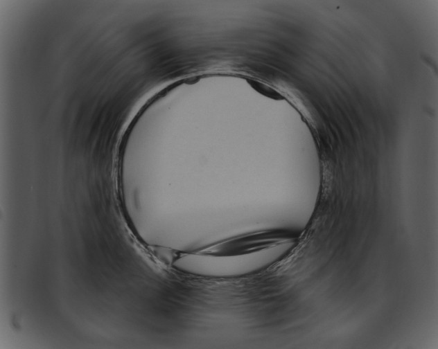 X0000097511148200803201610