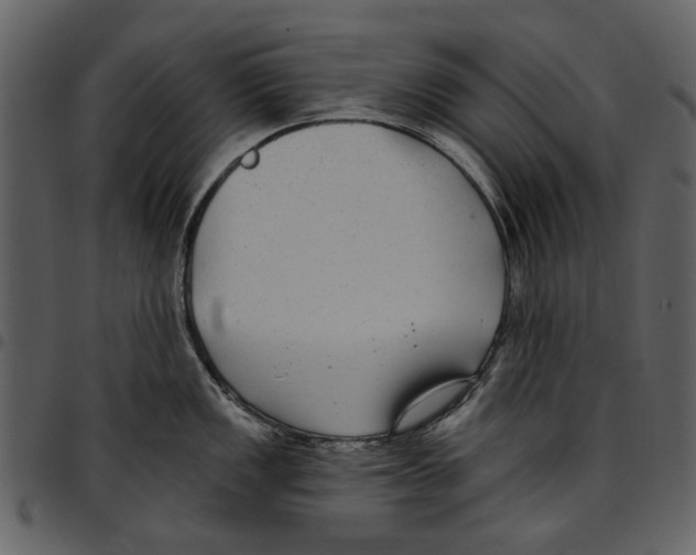 X0000097511149200803201610