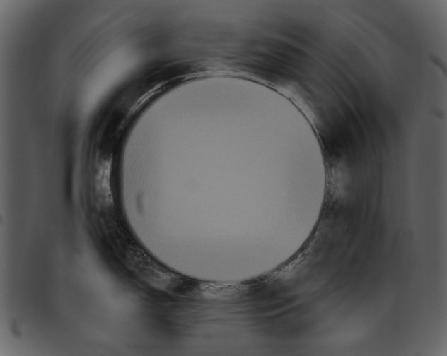 X0000097511150200803201610