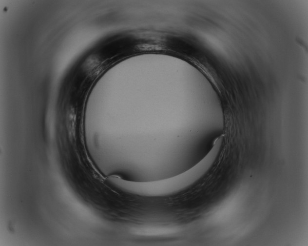 X0000097511151200803201610