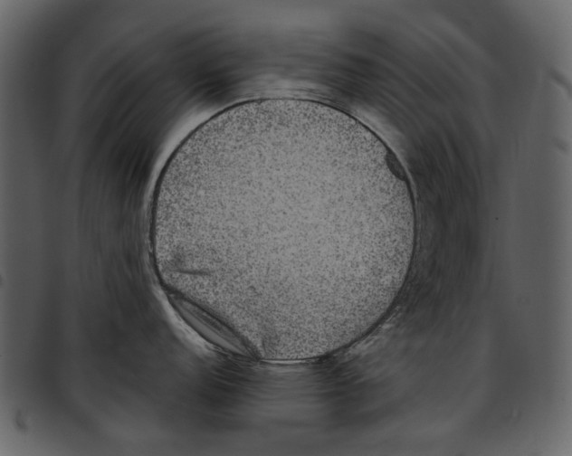 X0000097511152200803201610