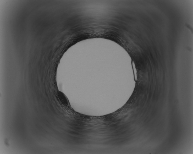 X0000097511153200803201609