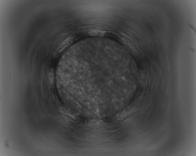 X0000097511154200803201609