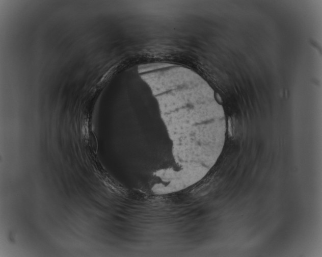X0000097511155200803201609
