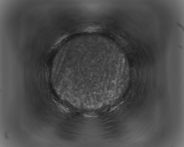 X0000097511158200803201609