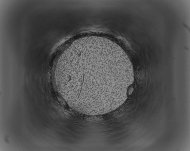 X0000097511159200803201609