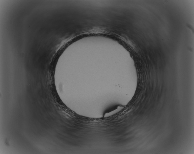 X0000097511160200803201609