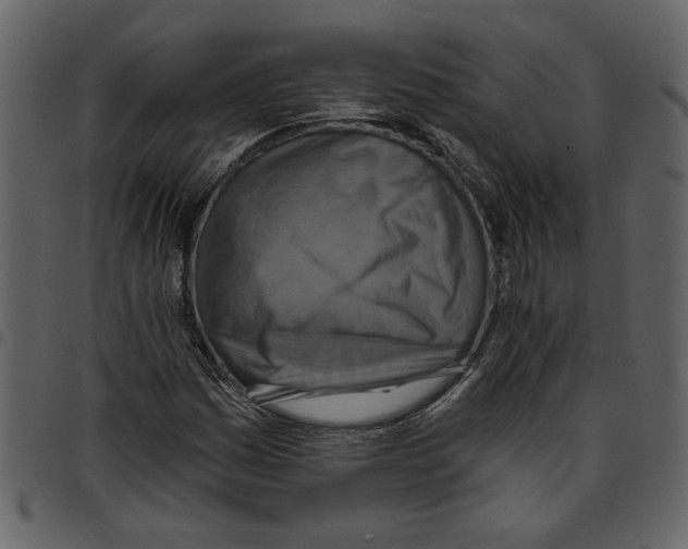 X0000097511161200803201609