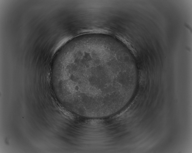 X0000097511163200803201609