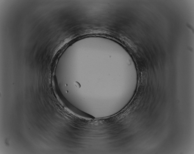 X0000097511165200803201609