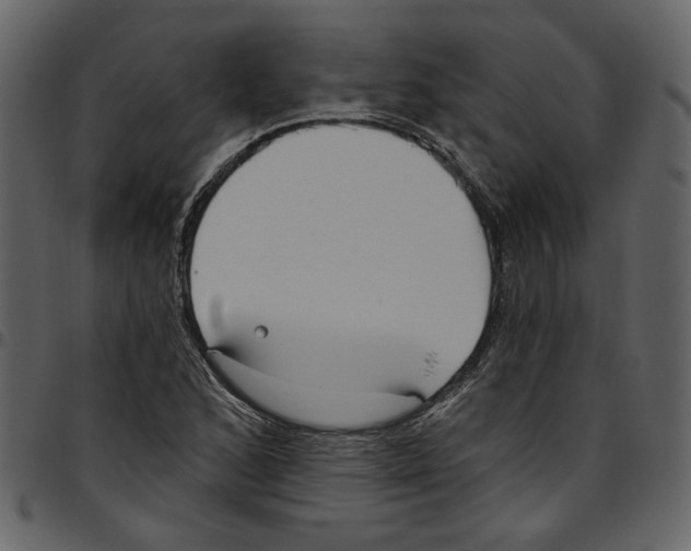 X0000097511168200803201609