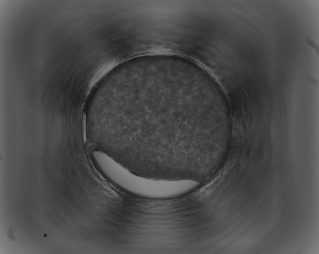 X0000097511171200803201609
