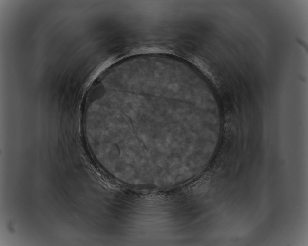 X0000097511173200803201609