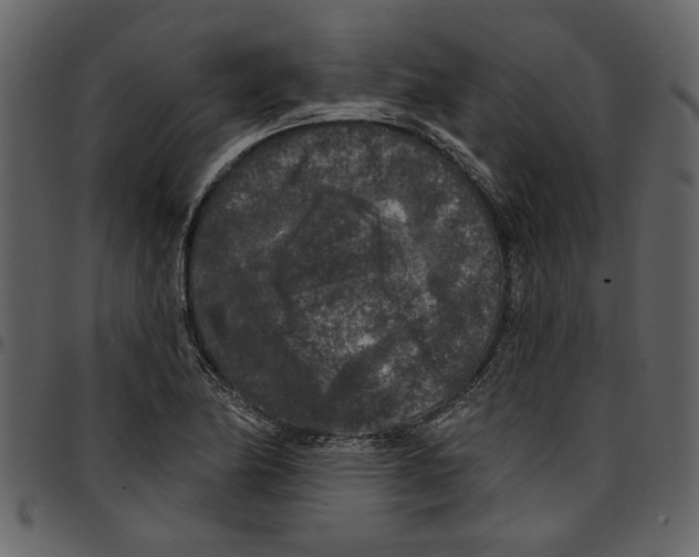 X0000097511174200803201609