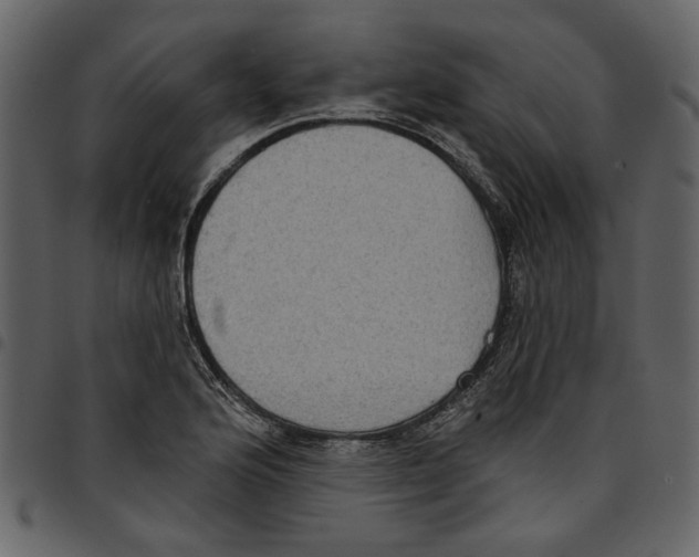 X0000097511176200803201609