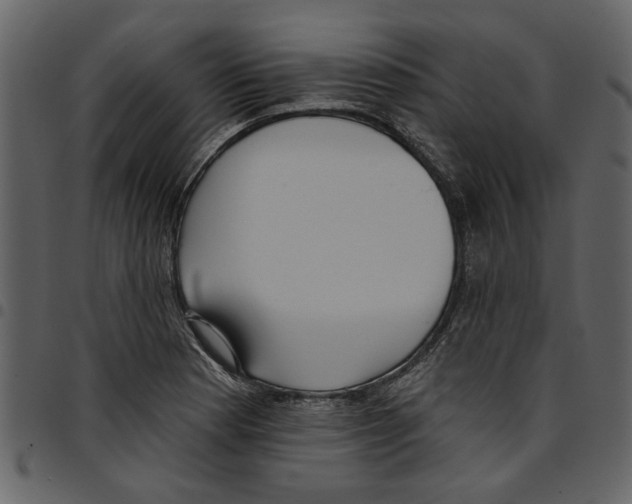 X0000097511177200803201609