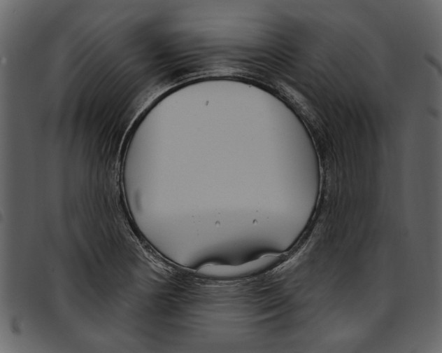 X0000097511178200803201609