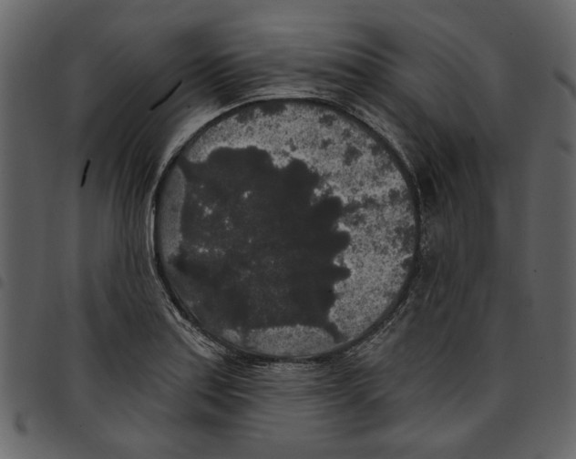 X0000097511179200803201609