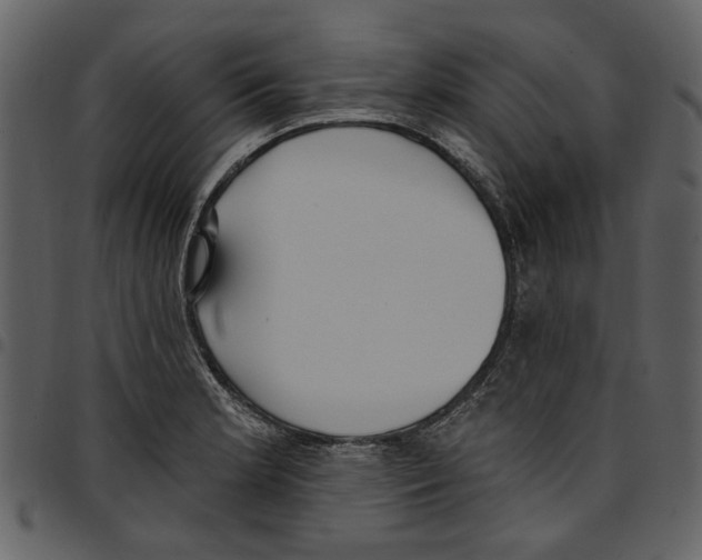 X0000097511181200803201609