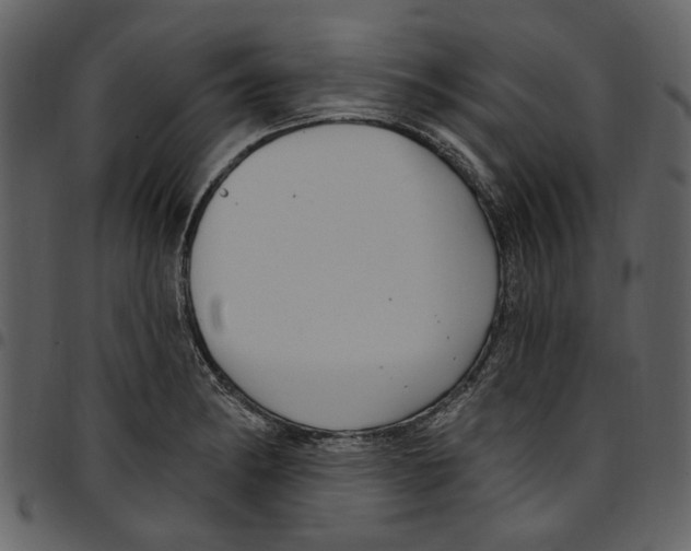 X0000097511182200803201609