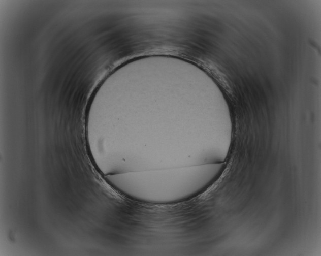 X0000097511184200803201609