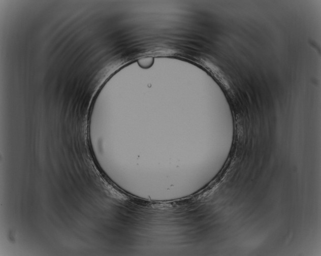 X0000097511186200803201608