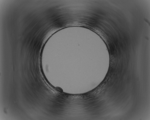 X0000097511187200803201608